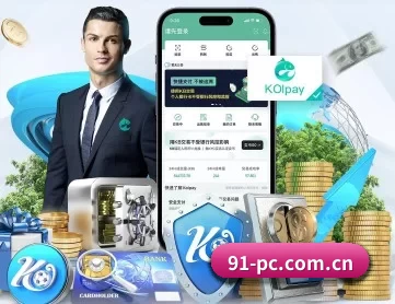 91福利 APP 深度功能