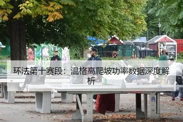 环法第十赛段：温格高爬坡功率数据深度解析