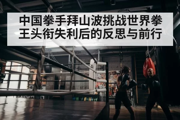 boxer training